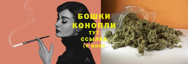 дживик Костерёво