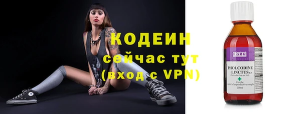 молекула духа Козловка
